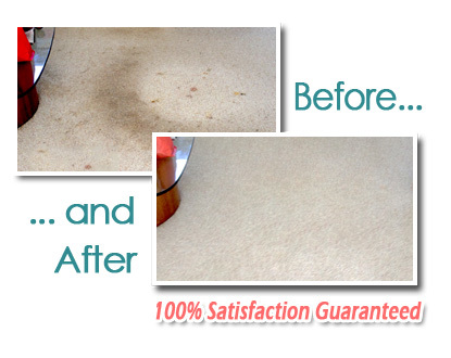 Carpet Cleaning Before and After 